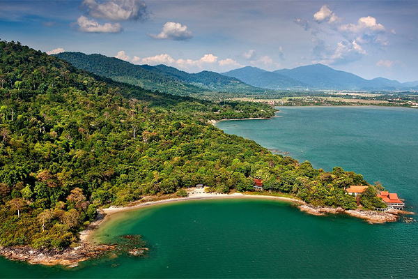 Visa Image